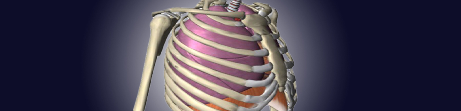 Chest Rib Injuries